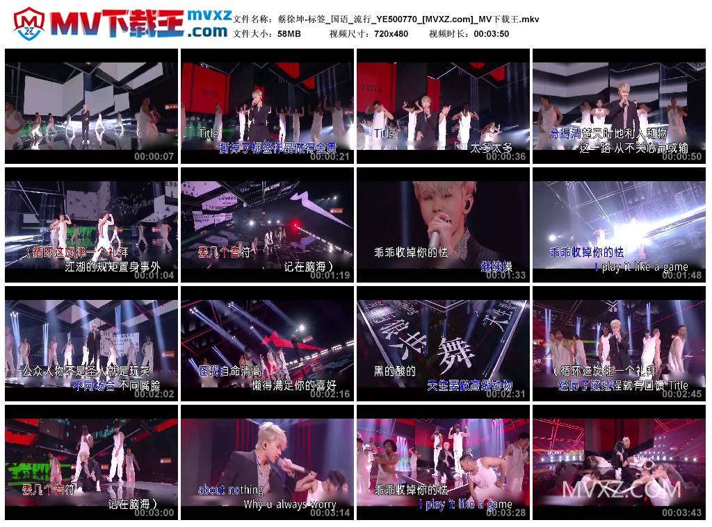 蔡徐坤-标签_国语_流行_YE500770